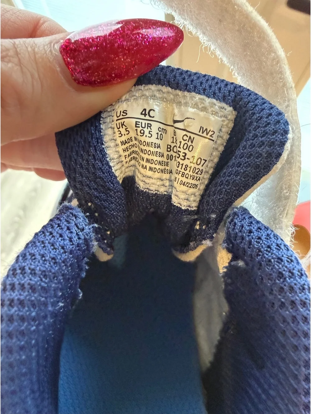 Nike Court Borough Low, 4C, EUC, Baby Sneakers